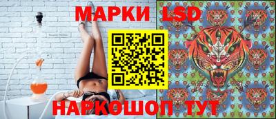 тгк Обь