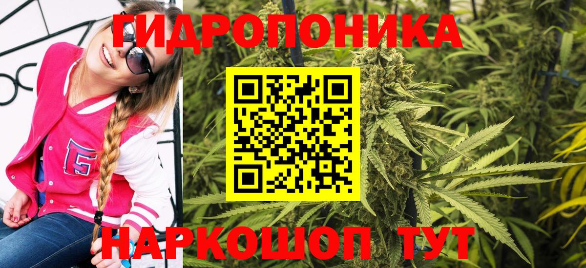 Бошки Шишки AK-47  Бошки марихуана план  Сарапул  Вход с VPN  Канабис ГИДРОПОН 
